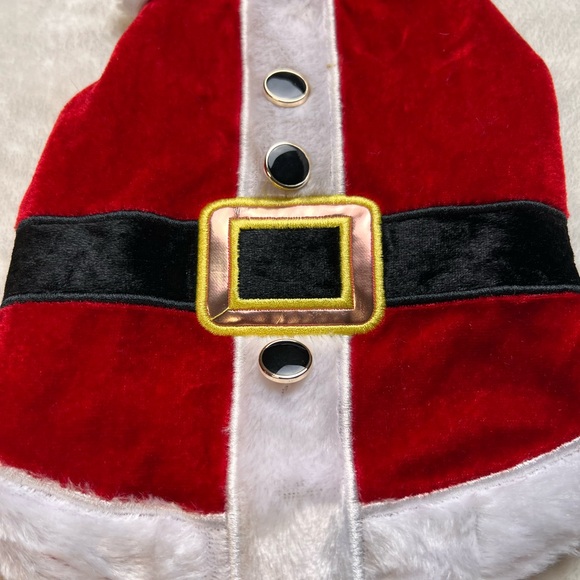 Merry and Bright Santa Costume for Small Animals and puppies - Picture 3 of 6